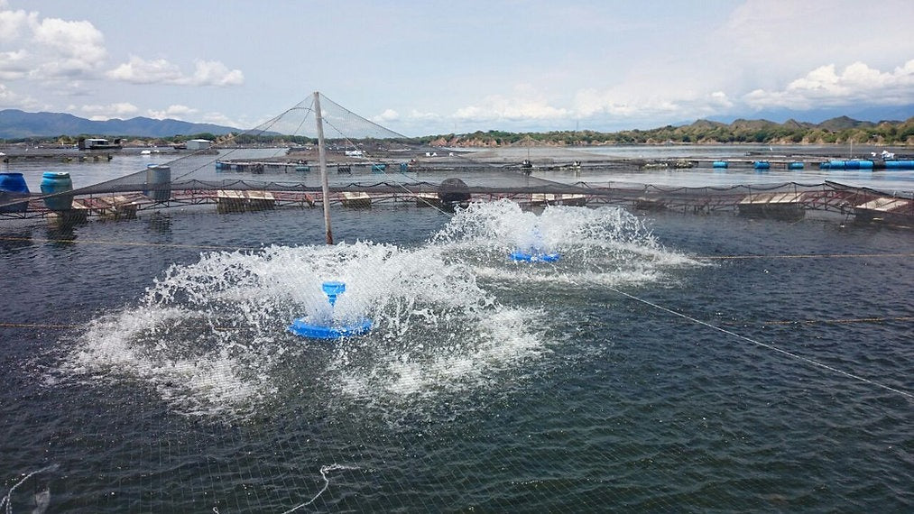 Aireador Tipo Splash con motor WEG de 1.5 Hp, Pumpower