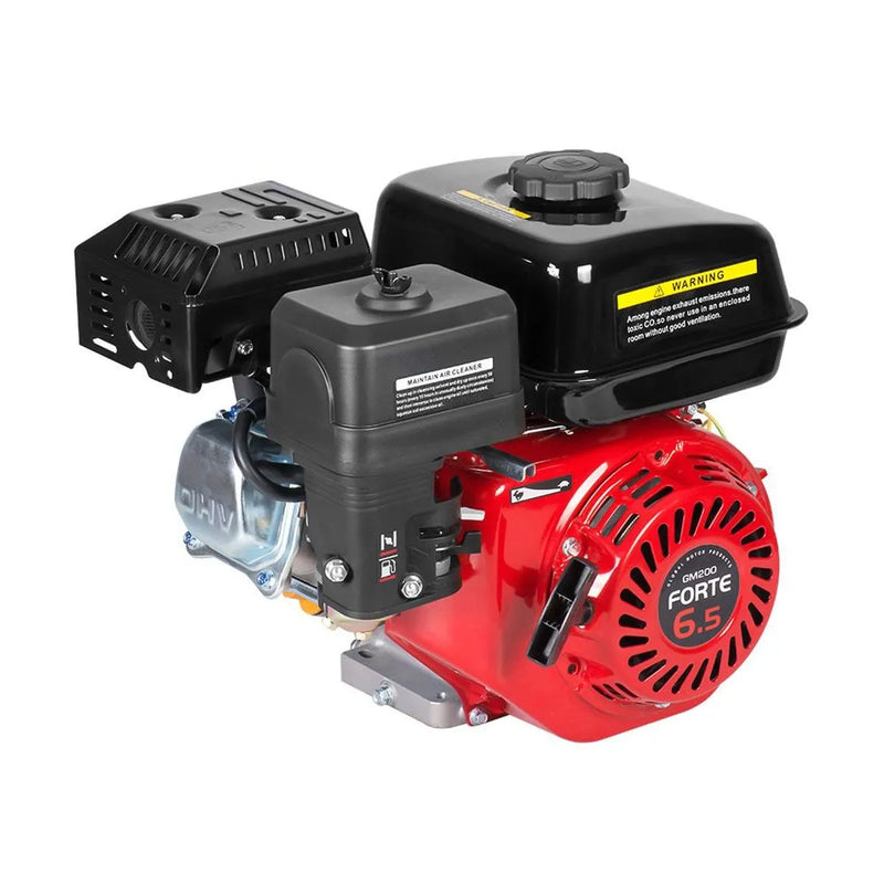 Motor a Gasolina de 1.800 RPM con 6,5 a 9 Hp, Forte
