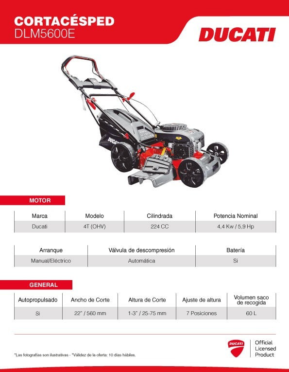 Cortacésped de 5.9 Hp, Ducati