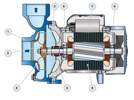 Bomba de Agua Centrifuga de Alto Caudal Modelo HF de 1 a 10 Hp, Pedrollo