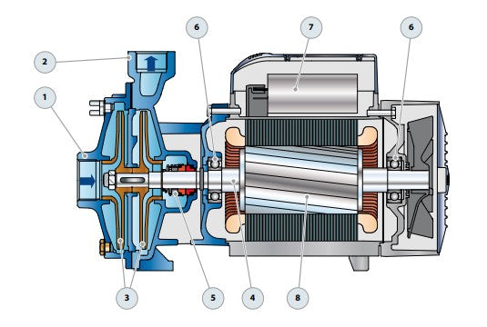 Bomba de Agua Centrifuga con Doble Impulsor 2CP de 4 a 15 Hp, Pedrollo