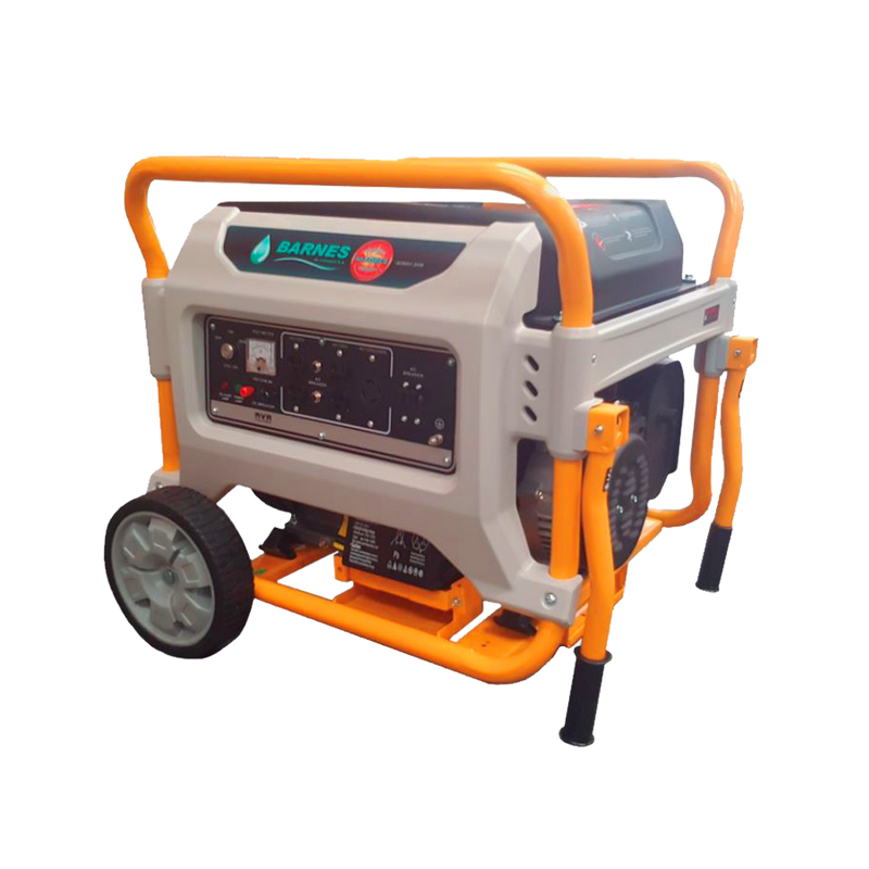 Planta Eléctrica a Gasolina de 10 kVa, Barnes