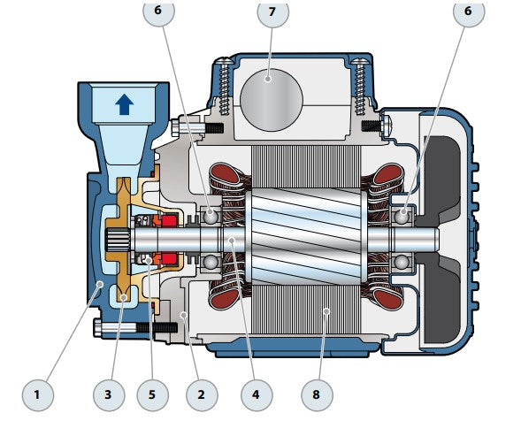Bomba de Agua Periférica Serie PQ de 0.75 a 3 Hp, Pedrollo