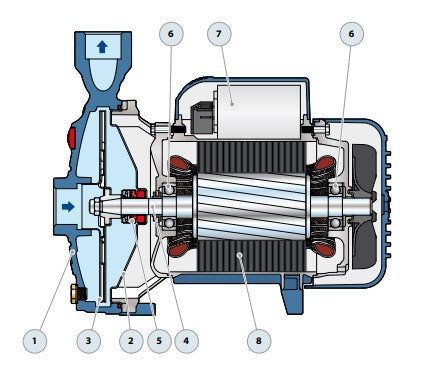Bomba de Agua Centrifuga CPm de 0.5 a 25 Hp, Pedrollo