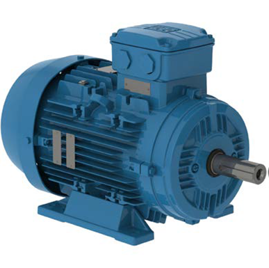 Motor de Superficie Trifásico de 0.5 a 30 Hp con 3600 RPM, Weg