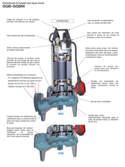 Bomba de Agua de Drenaje Aguas Negras 1-2 Hp, 220V, Calpeda 7